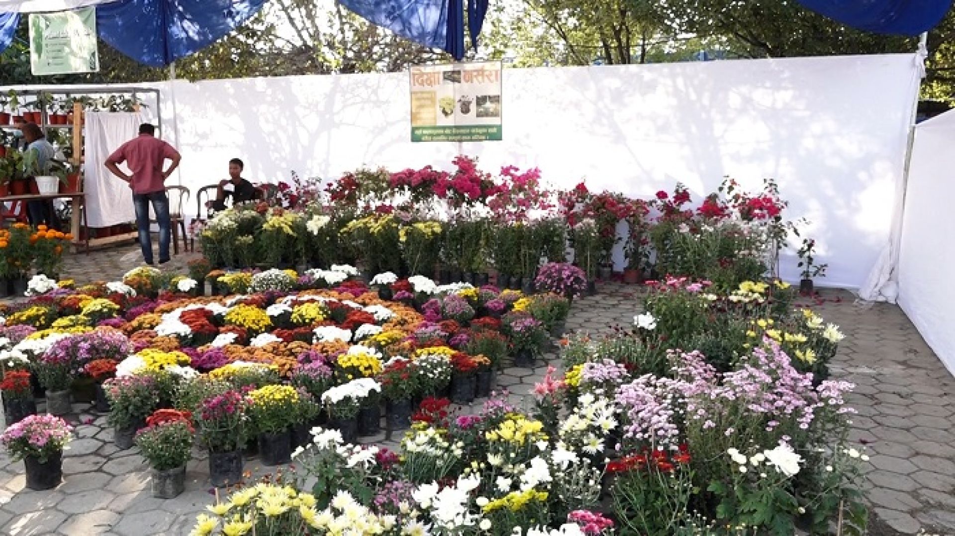 ‘फ्लोरा एक्स्पो’मा एक करोडमाथिको कारोबारः प्लास्टिक फूललाई पूर्ण प्रतिबन्ध गर्न व्यवसायीको माग